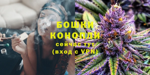 ПСИЛОЦИБИНОВЫЕ ГРИБЫ Краснослободск