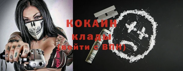 ПСИЛОЦИБИНОВЫЕ ГРИБЫ Краснослободск