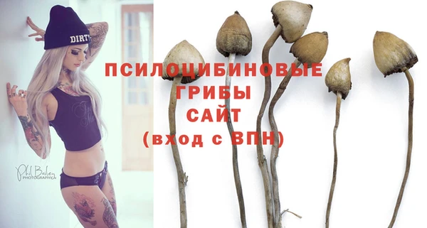 МДПВ Красноперекопск