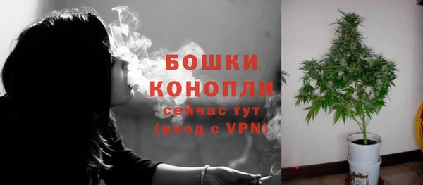 ПСИЛОЦИБИНОВЫЕ ГРИБЫ Краснослободск