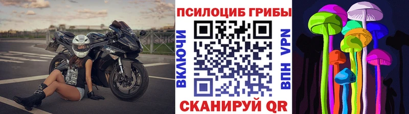 Купить где  Воркута  Галлюциногенные грибы GOLDEN TEACHER 